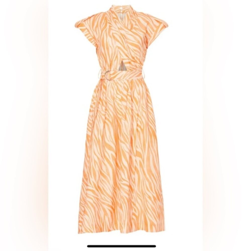 Derek Lam Collective Orange Zebra Striped Dress